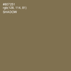 #807251 - Shadow Color Image
