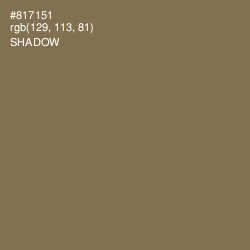 #817151 - Shadow Color Image