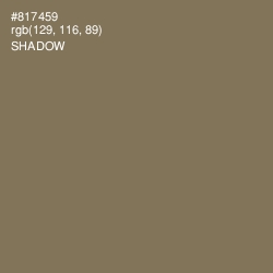 #817459 - Shadow Color Image