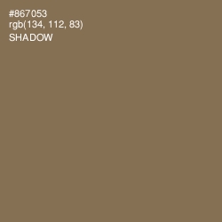 #867053 - Shadow Color Image
