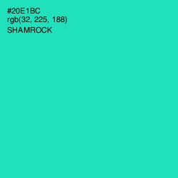 #20E1BC - Shamrock Color Image