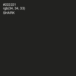 #222221 - Shark Color Image