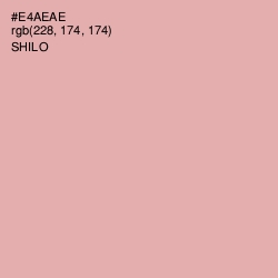 #E4AEAE - Shilo Color Image