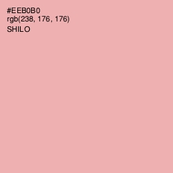 #EEB0B0 - Shilo Color Image