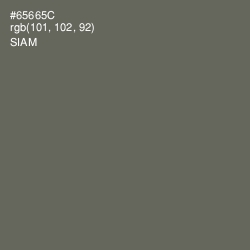 #65665C - Siam Color Image