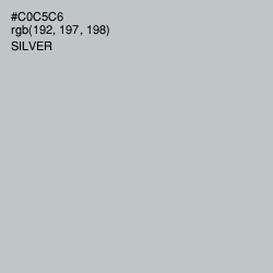 #C0C5C6 - Silver Color Image