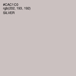 #CAC1C0 - Silver Color Image