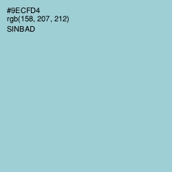 #9ECFD4 - Sinbad Color Image