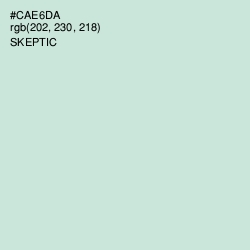 #CAE6DA - Skeptic Color Image