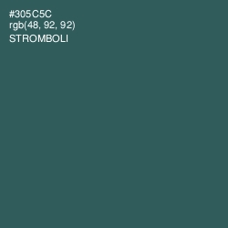 #305C5C - Stromboli Color Image