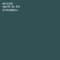 #315255 - Stromboli Color Image