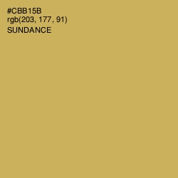 #CBB15B - Sundance Color Image