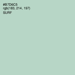 #B7D6C5 - Surf Color Image