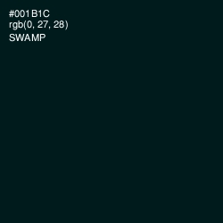#001B1C - Swamp Color Image