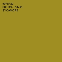 #9F8F22 - Sycamore Color Image