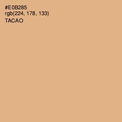 #E0B285 - Tacao Color Image