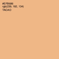 #EFB686 - Tacao Color Image