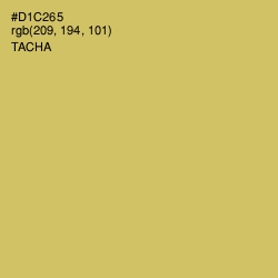 #D1C265 - Tacha Color Image