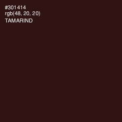 #301414 - Tamarind Color Image