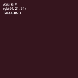 #36151F - Tamarind Color Image