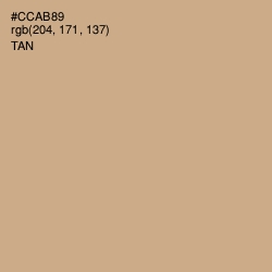 #CCAB89 - Tan Color Image