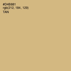 #D4B881 - Tan Color Image