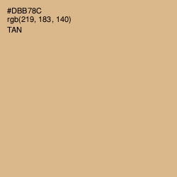 #DBB78C - Tan Color Image
