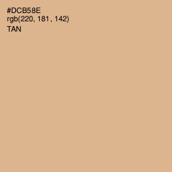 #DCB58E - Tan Color Image