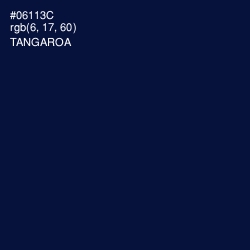 #06113C - Tangaroa Color Image