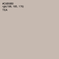 #C6B9B0 - Tea Color Image