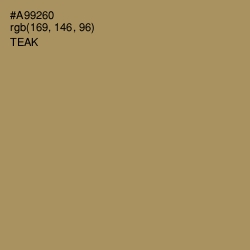 #A99260 - Teak Color Image