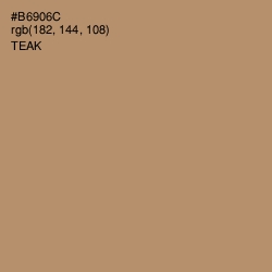 #B6906C - Teak Color Image