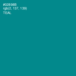 #02898B - Teal Color Image