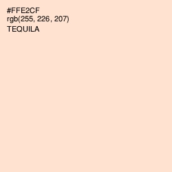 #FFE2CF - Tequila Color Image