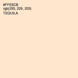 #FFE5CB - Tequila Color Image