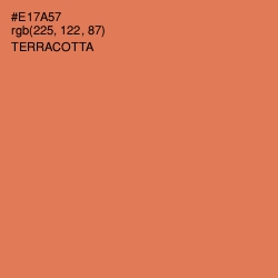 #E17A57 - Terracotta Color Image