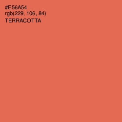 #E56A54 - Terracotta Color Image