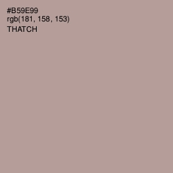 #B59E99 - Thatch Color Image