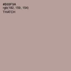 #B69F9A - Thatch Color Image