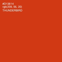 #D13814 - Thunderbird Color Image