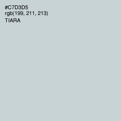 #C7D3D5 - Tiara Color Image