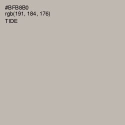 #BFB8B0 - Tide Color Image