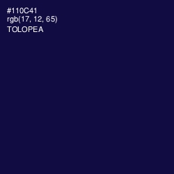 #110C41 - Tolopea Color Image