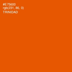 #E75600 - Trinidad Color Image