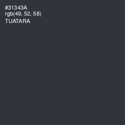 #31343A - Tuatara Color Image