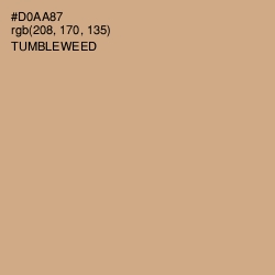 #D0AA87 - Tumbleweed Color Image