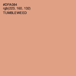 #DFA084 - Tumbleweed Color Image