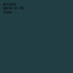 #213E44 - Tuna Color Image