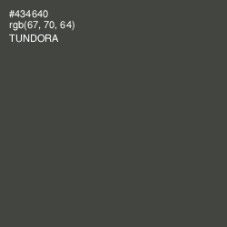 #434640 - Tundora Color Image