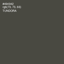 #494942 - Tundora Color Image